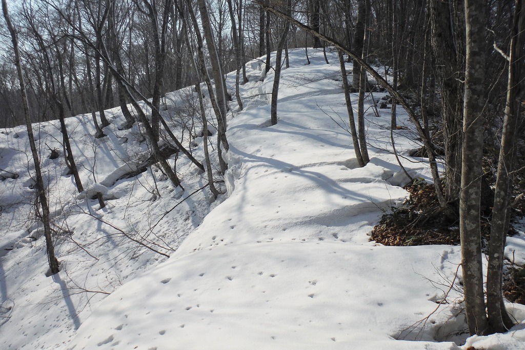 c0294658_22182515.jpg