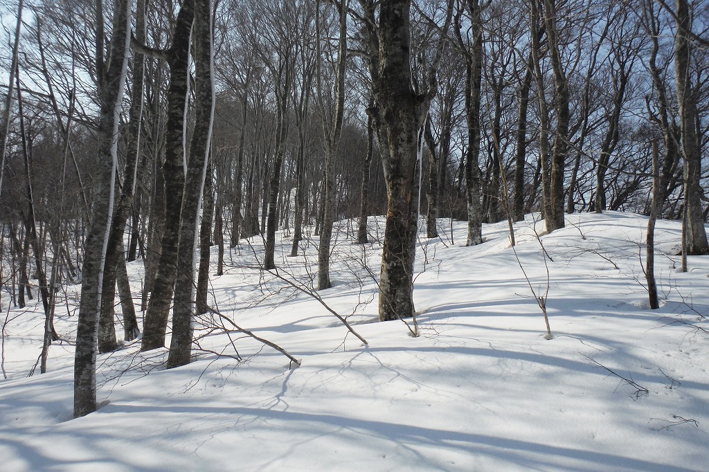 c0294658_22182562.jpg