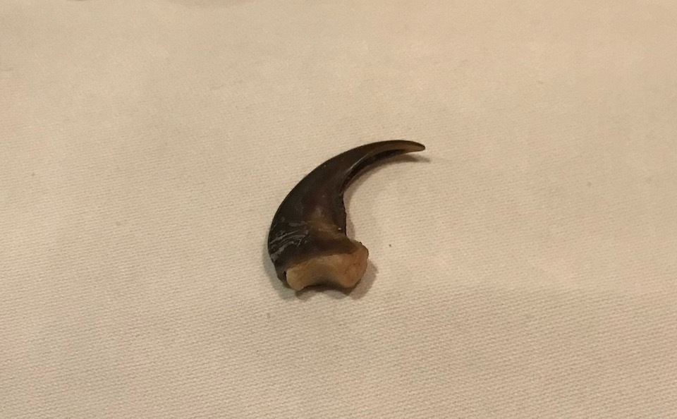 三宮ルセット_e0158261_09494419.jpeg