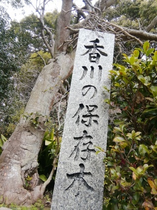 b0368362_07454168.jpg
