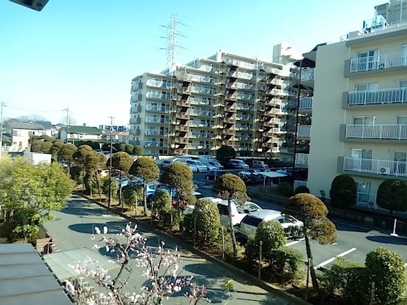 c0077465_14284833.jpg