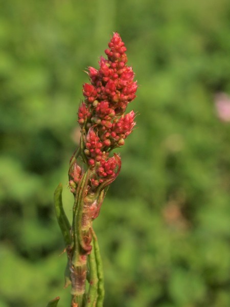 b0135573_07110511.jpg