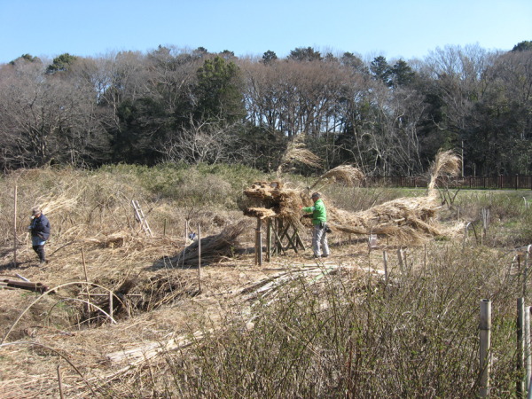 2019年3月2日　龍つくり最終段階2_a0243381_17570213.jpg