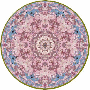 f0357487_22452813.gif