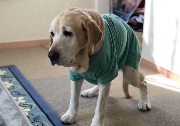 c0028792_21581185.jpeg