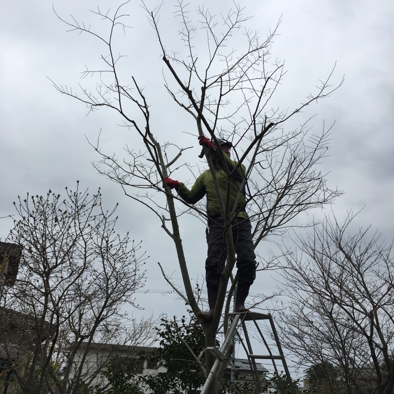 b0220002_20171191.jpeg