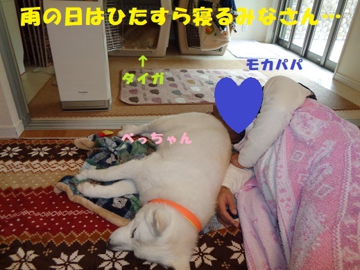 今日は冷たい雨_f0121712_13444029.jpg