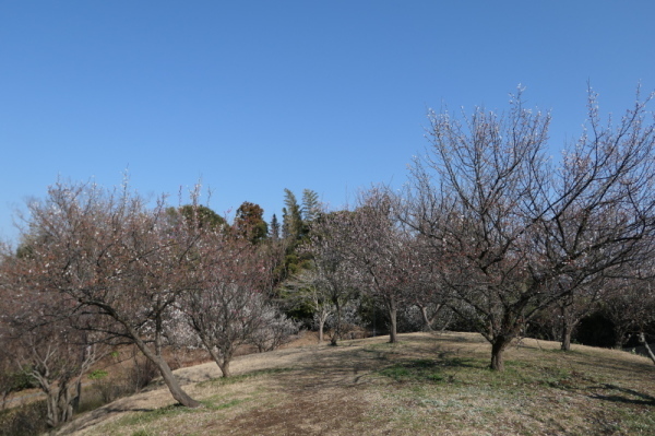 f0369014_19533400.jpg