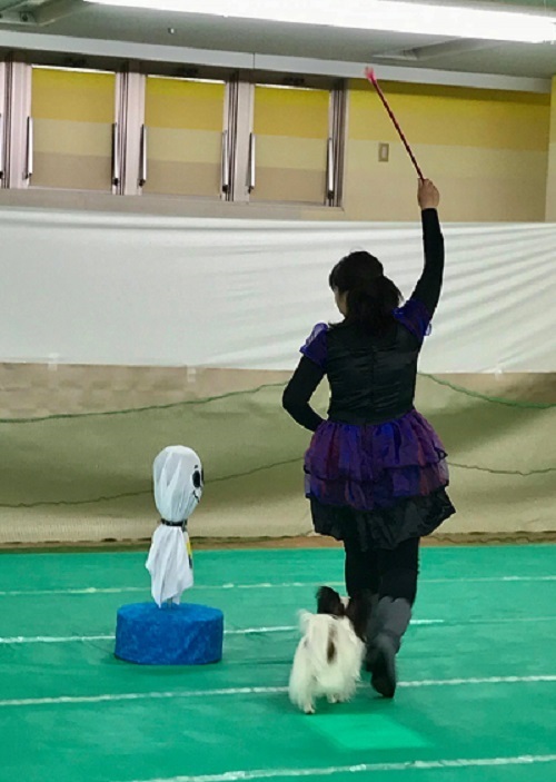 e0190220_23460977.jpg