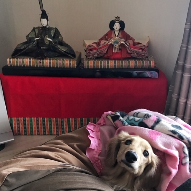 c0071924_12065470.jpeg