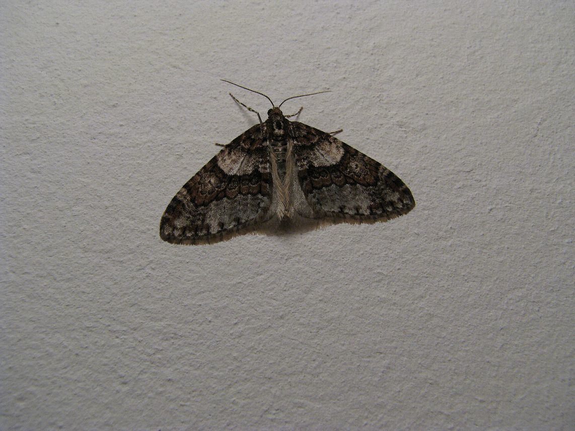 f0177529_20011300.jpg