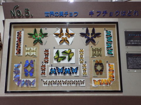 d0285540_18293972.jpg