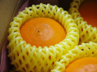 究極の柑橘『せとか』　超！ハイペースで出荷中！ご家庭用にもご贈答用にも大人気商品です！_a0254656_16395440.jpg