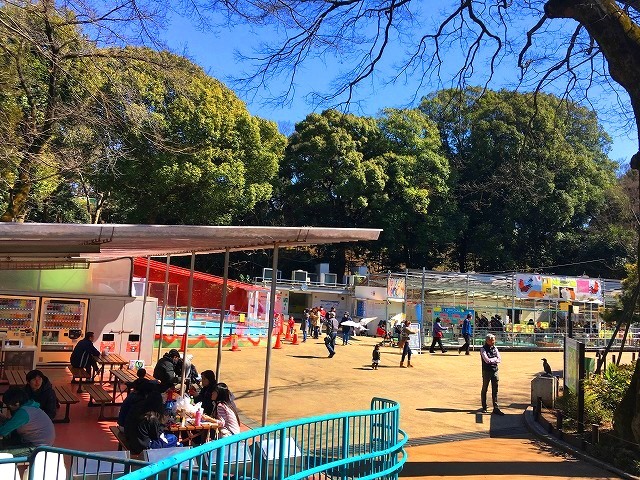 ＜2019年３月＞待ち遠しい桜の季節！職場「横浜」周辺の撮り溜めた春風景_c0119160_20580564.jpg