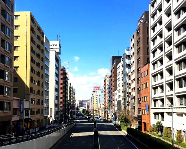 ＜2019年３月＞待ち遠しい桜の季節！職場「横浜」周辺の撮り溜めた春風景_c0119160_22304831.jpg