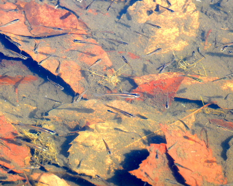 c0305565_17461113.jpg