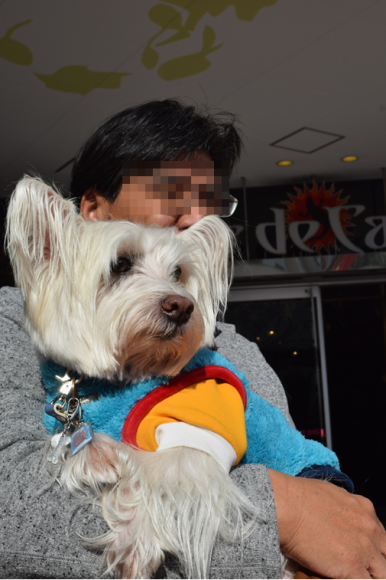 b0242873_02240666.png