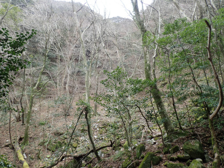 d0182075_19142292.jpg