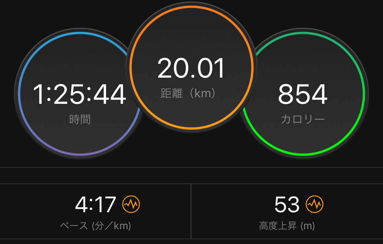 流行りのキロ430ジョグ?と2月のまとめ_f0310282_16390001.jpeg