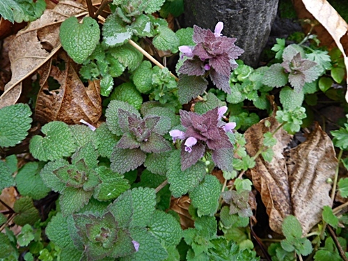 e0086885_19150799.jpg
