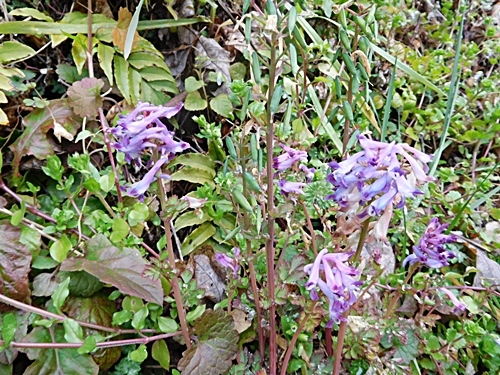 e0086885_19152329.jpg
