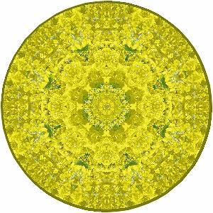 f0357487_16005759.gif
