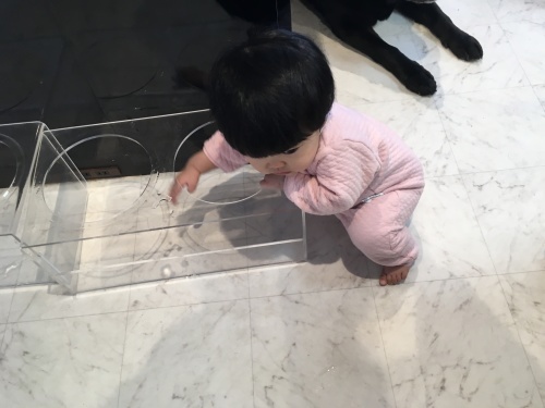 babyが帰った_f0347891_19253139.jpeg