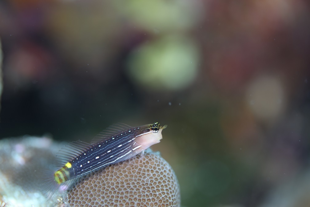 c0215593_17374261.jpg