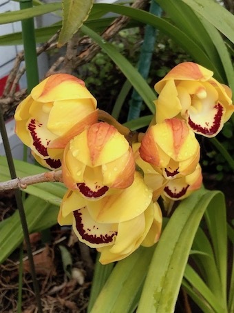 花の囁き_f0061394_10424752.jpg