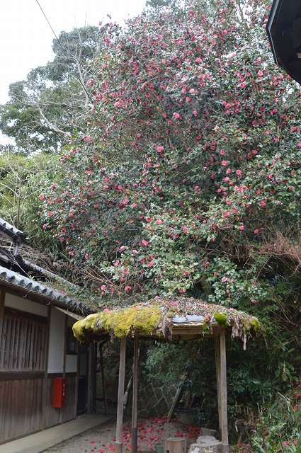 飛鳥寺 など_c0124100_15144718.jpg