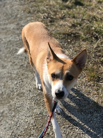 今日は笑顔がいっぱいです♪_f0242002_13394723.jpg
