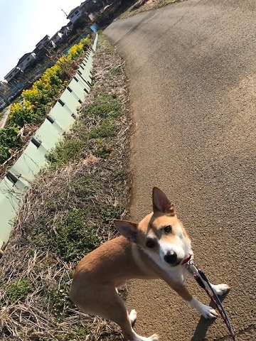今日は笑顔がいっぱいです♪_f0242002_13563371.jpg