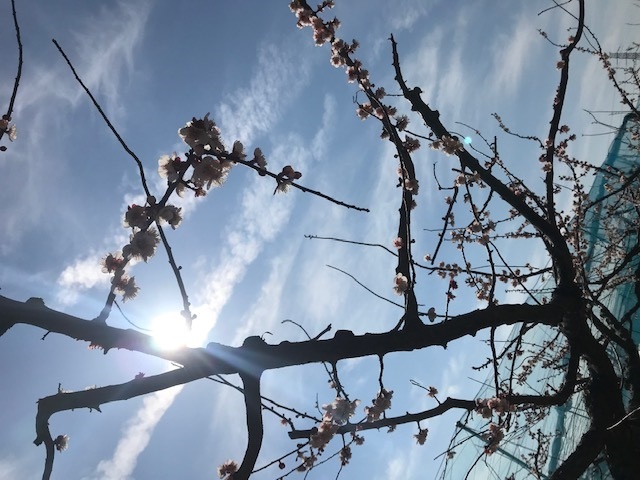 今日は笑顔がいっぱいです♪_f0242002_13573391.jpg