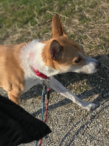 今日は笑顔がいっぱいです♪_f0242002_14060482.jpg