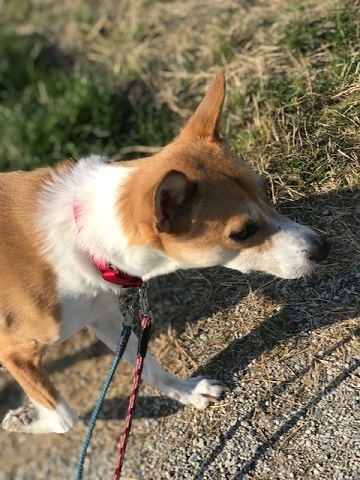 今日は笑顔がいっぱいです♪_f0242002_14060939.jpg