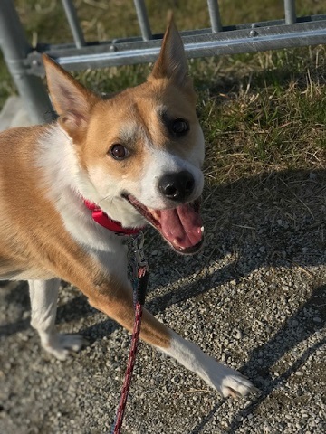 今日は笑顔がいっぱいです♪_f0242002_14061537.jpg