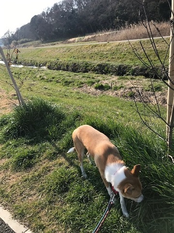 今日は笑顔がいっぱいです♪_f0242002_14164584.jpg