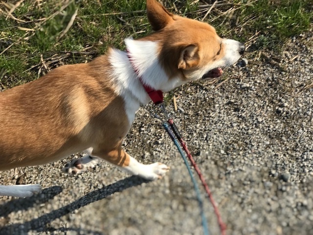 今日は笑顔がいっぱいです♪_f0242002_14175040.jpg
