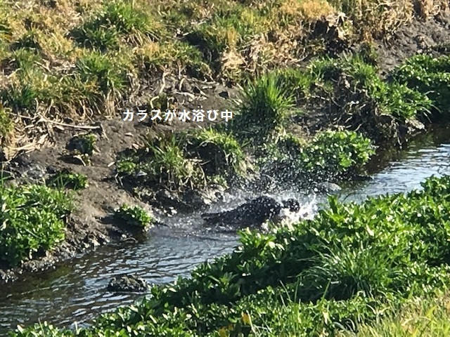 今日は笑顔がいっぱいです♪_f0242002_14224967.jpg