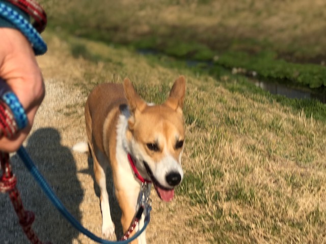 今日は笑顔がいっぱいです♪_f0242002_14232977.jpg