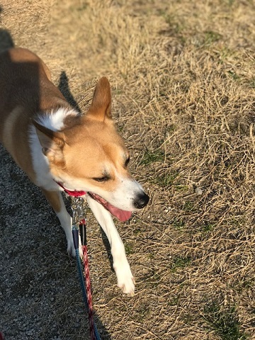 今日は笑顔がいっぱいです♪_f0242002_14234070.jpg