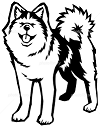f0242002_16095138.png