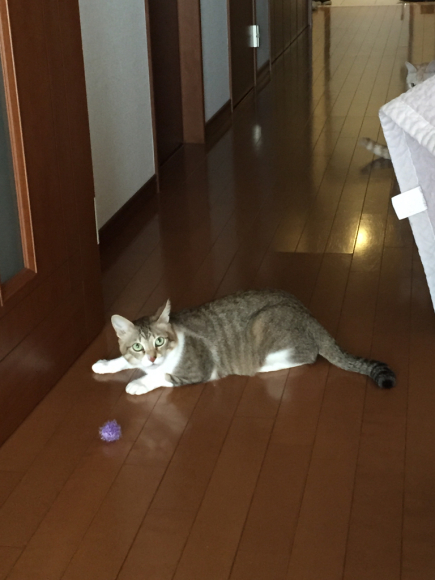 d0039312_20174220.jpg