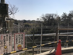 鎌倉 山留_d0096520_19221232.jpg