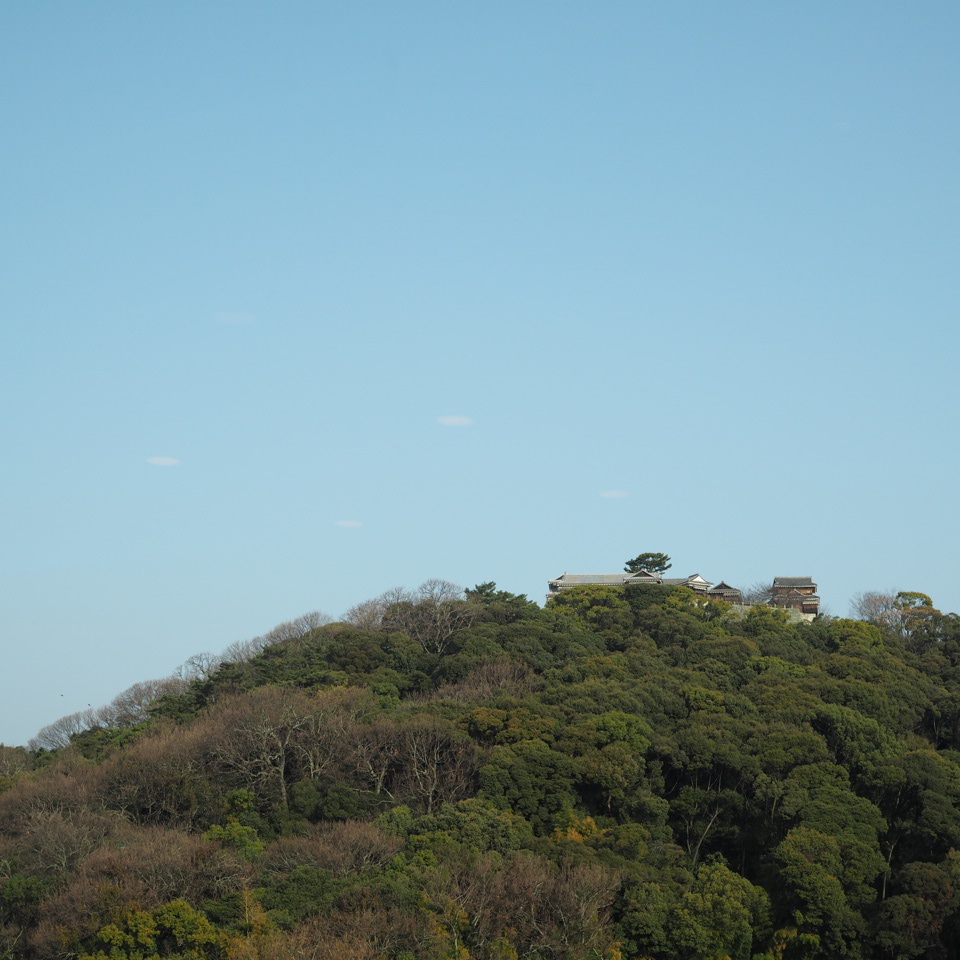 松山へ_b0206421_11132800.jpg