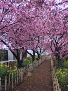 ♡3月のお知らせ♡と近況です_e0131324_06543843.jpg