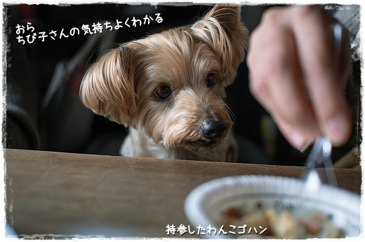 d0179828_07520199.png