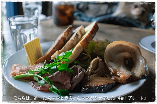 d0179828_07545454.png