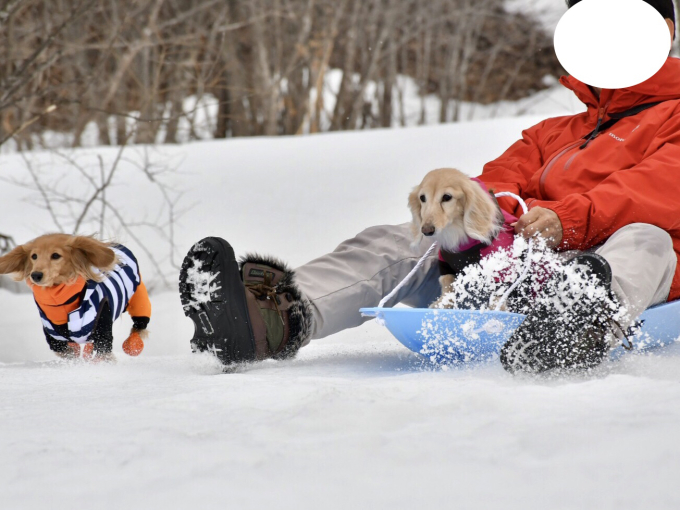 １９年３月３日 お友達と菅平雪遊び旅行最終日！_c0117831_21204845.jpg