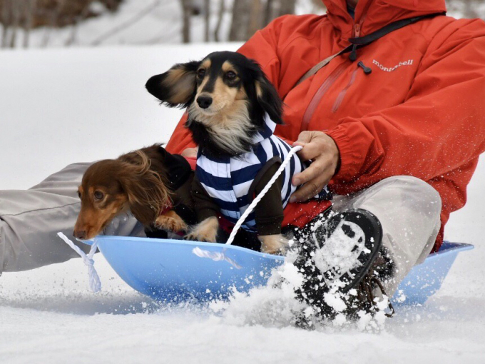 １９年３月３日 お友達と菅平雪遊び旅行最終日！_c0117831_21205080.jpg